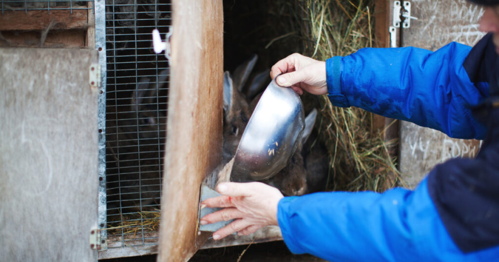 飼育小屋