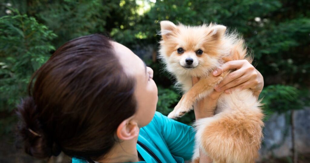 ビルジャックは動物病院おすすめのフード！