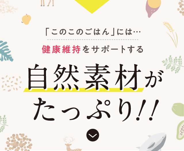 腎臓と肝臓の健康を考慮した「このこのごはん」